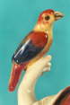 Detaillansicht der Porzellanfigur mit Papagei. Sie sehen hier den Papagei der von der Hand abgebrochen war nun nach der Restaurierung.